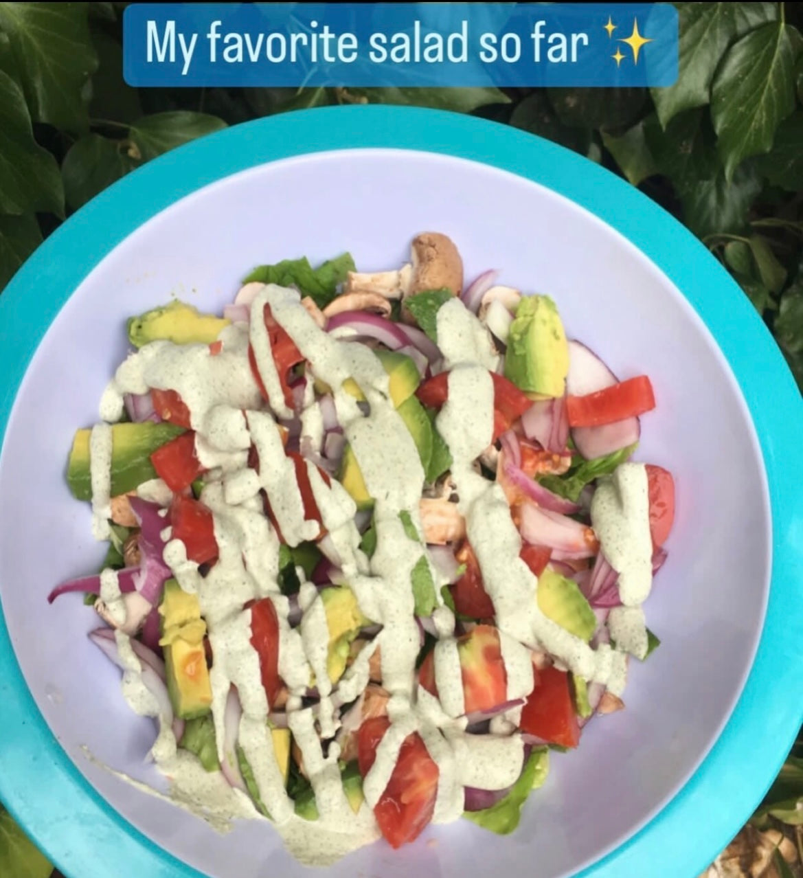 Mystic Return Alkaline Vegan Cookbook (E-Book)