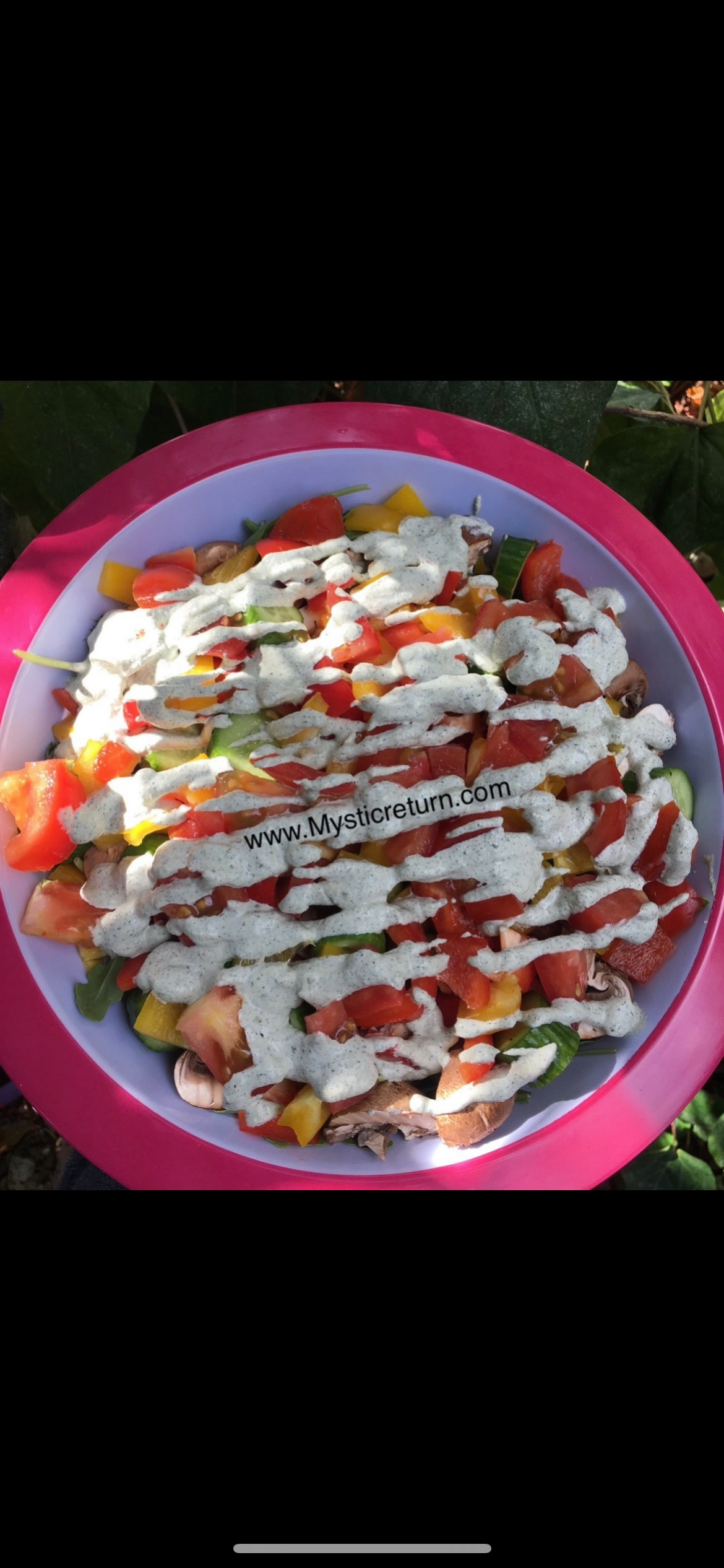 Mystic Return Alkaline Vegan Cookbook (E-Book)